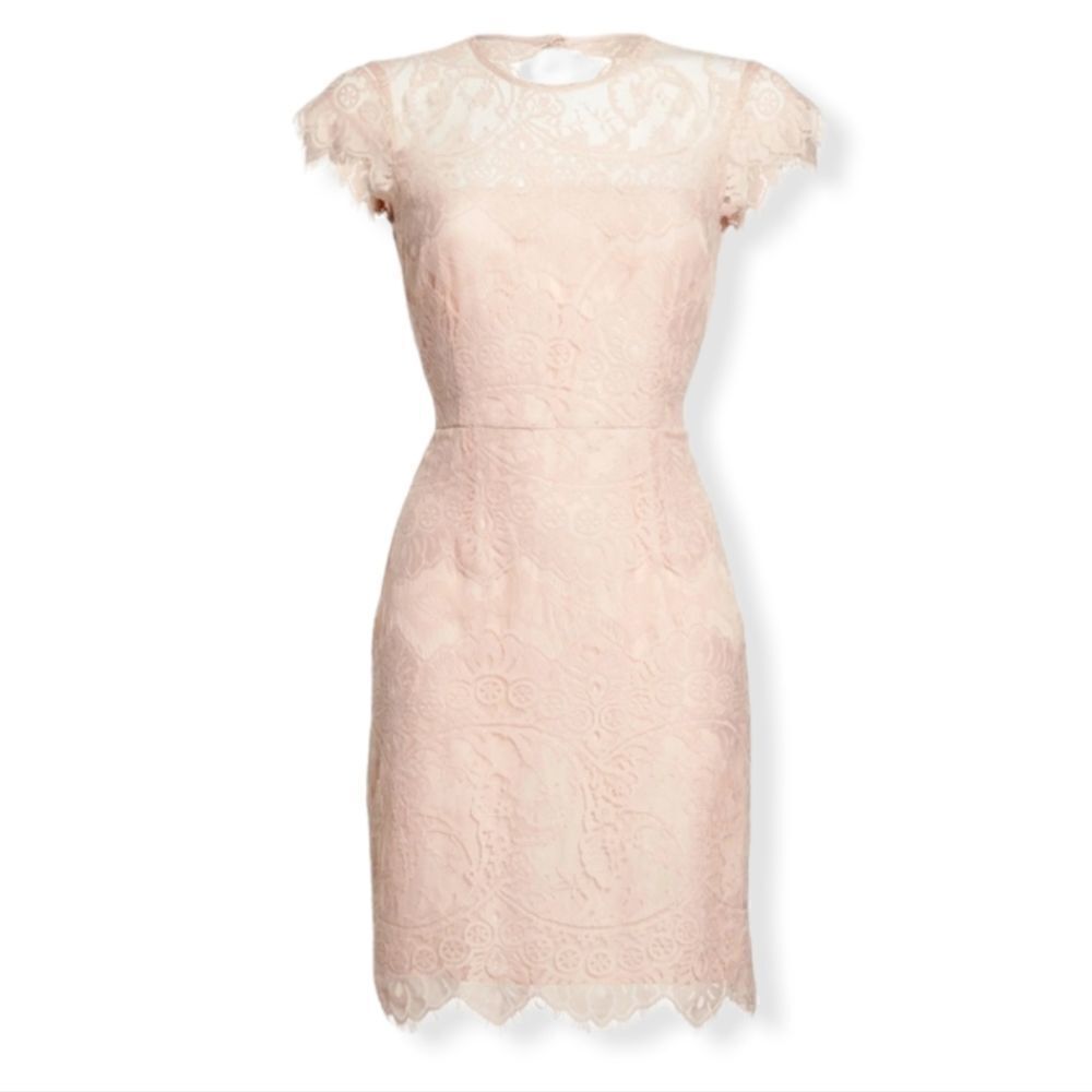 BB DAKOTA Jayce lace sheath cocktail dress in rose smoke